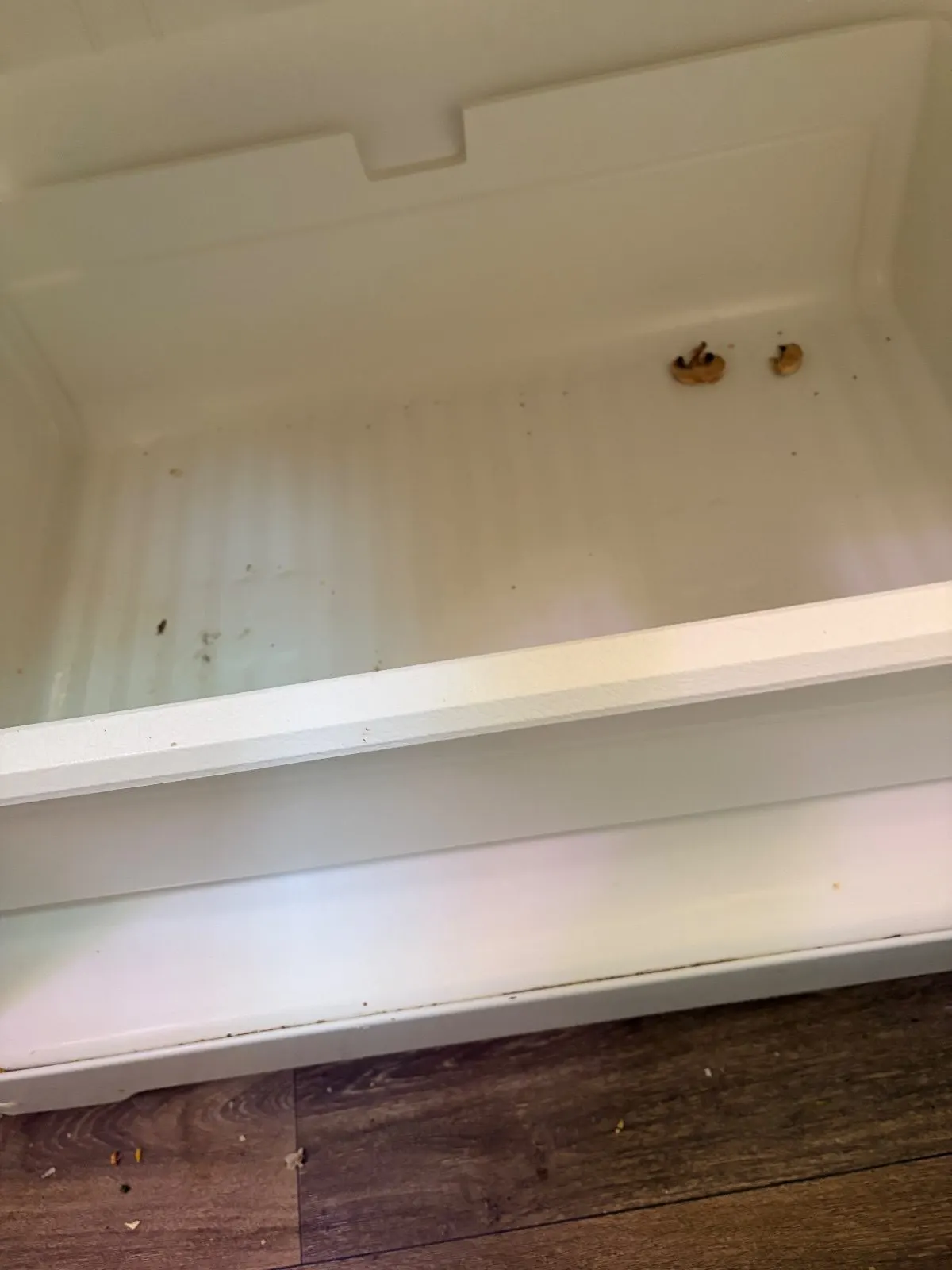 Before — House Cleaning in Davis, CA — August 2026
