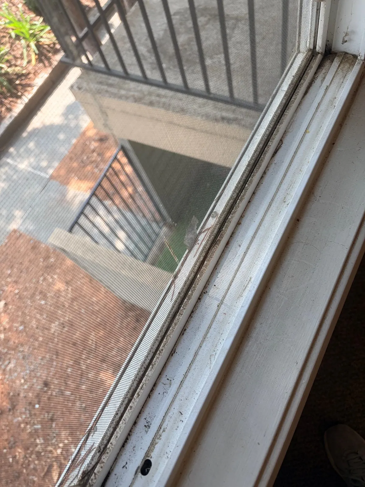 Before — House Cleaning in Davis, CA — August 2026