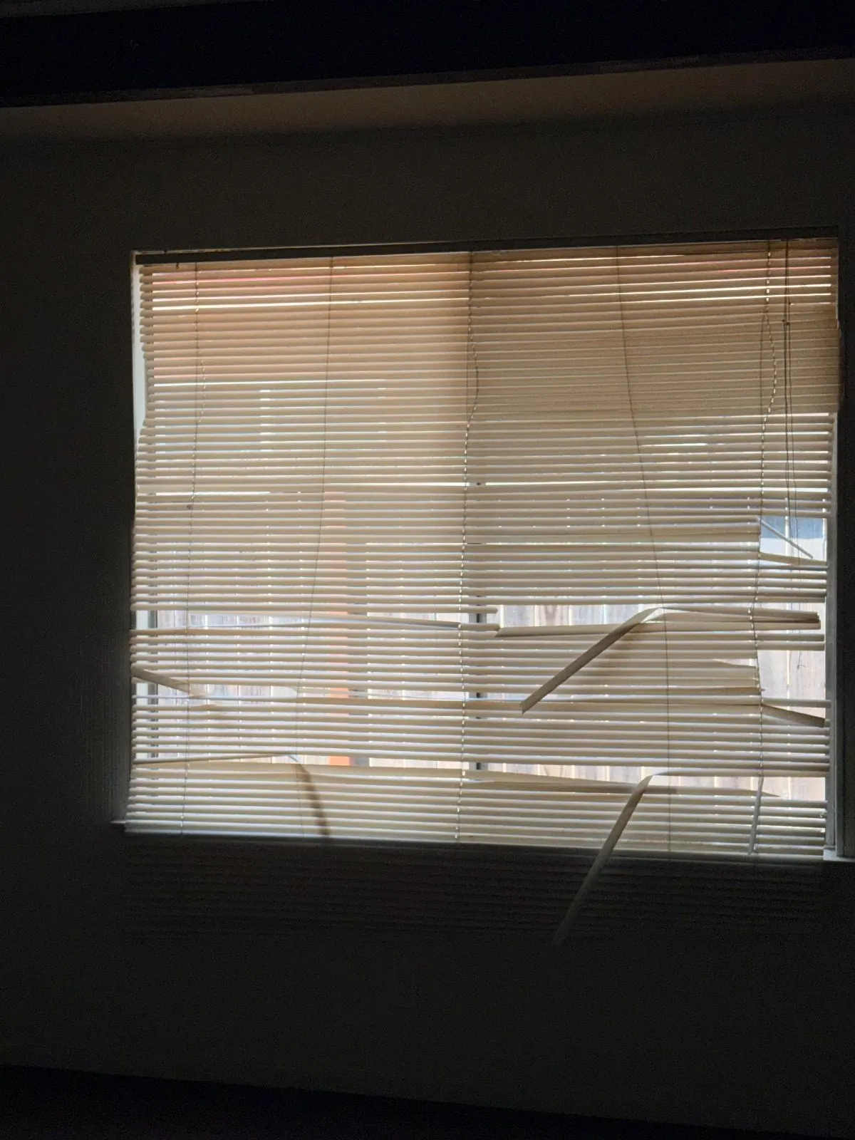 Before — House Cleaning in Davis, CA — August 2026