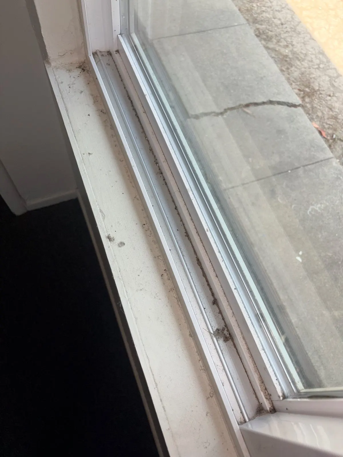 Before — House Cleaning in Davis, CA — August 2026