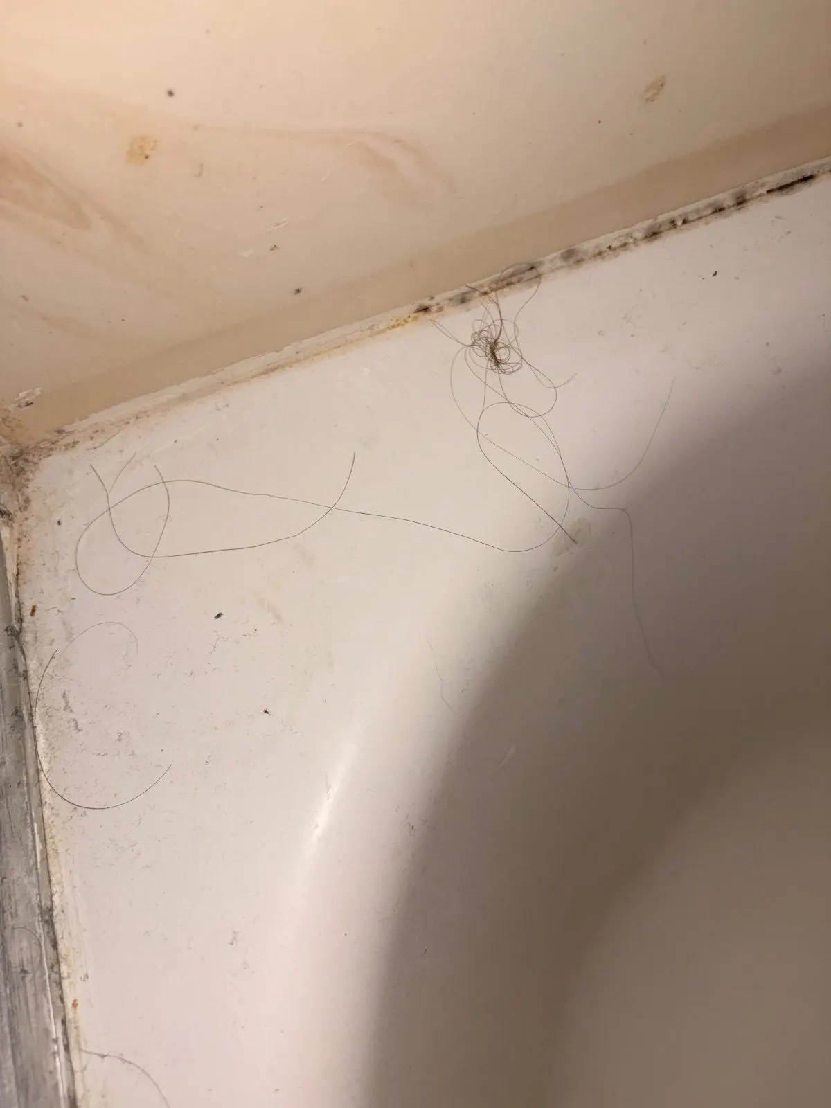Before — House Cleaning in Davis, CA — August 2026