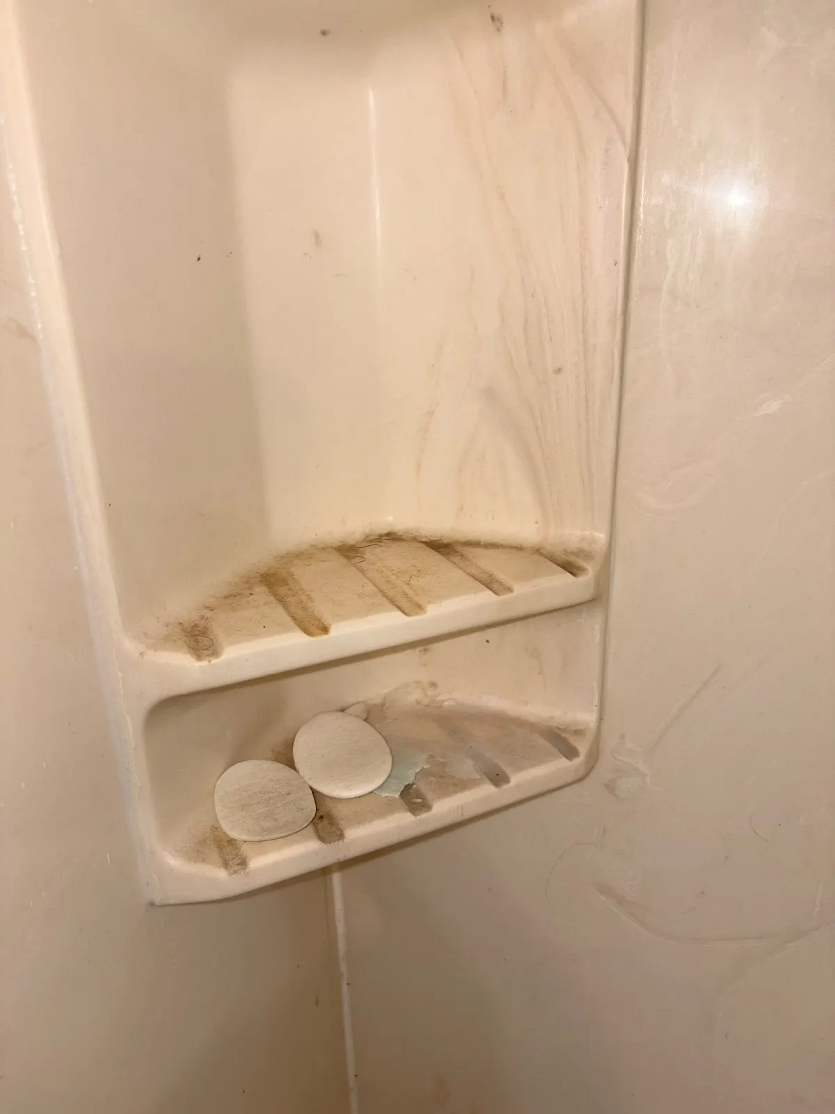 Before — House Cleaning in Davis, CA — August 2026