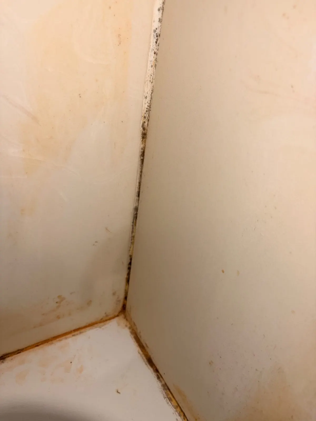 Before — House Cleaning in Davis, CA — August 2026
