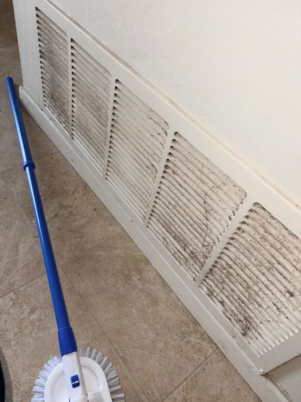 Before — House Cleaning in Davis, CA — August 2026