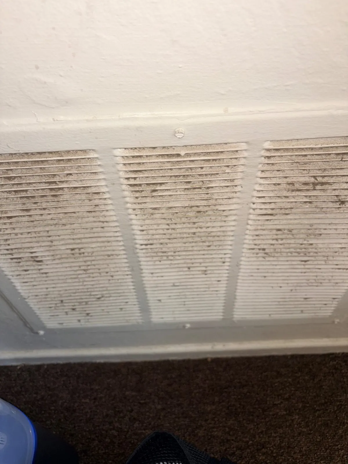 Before — House Cleaning in Davis, CA — August 2026