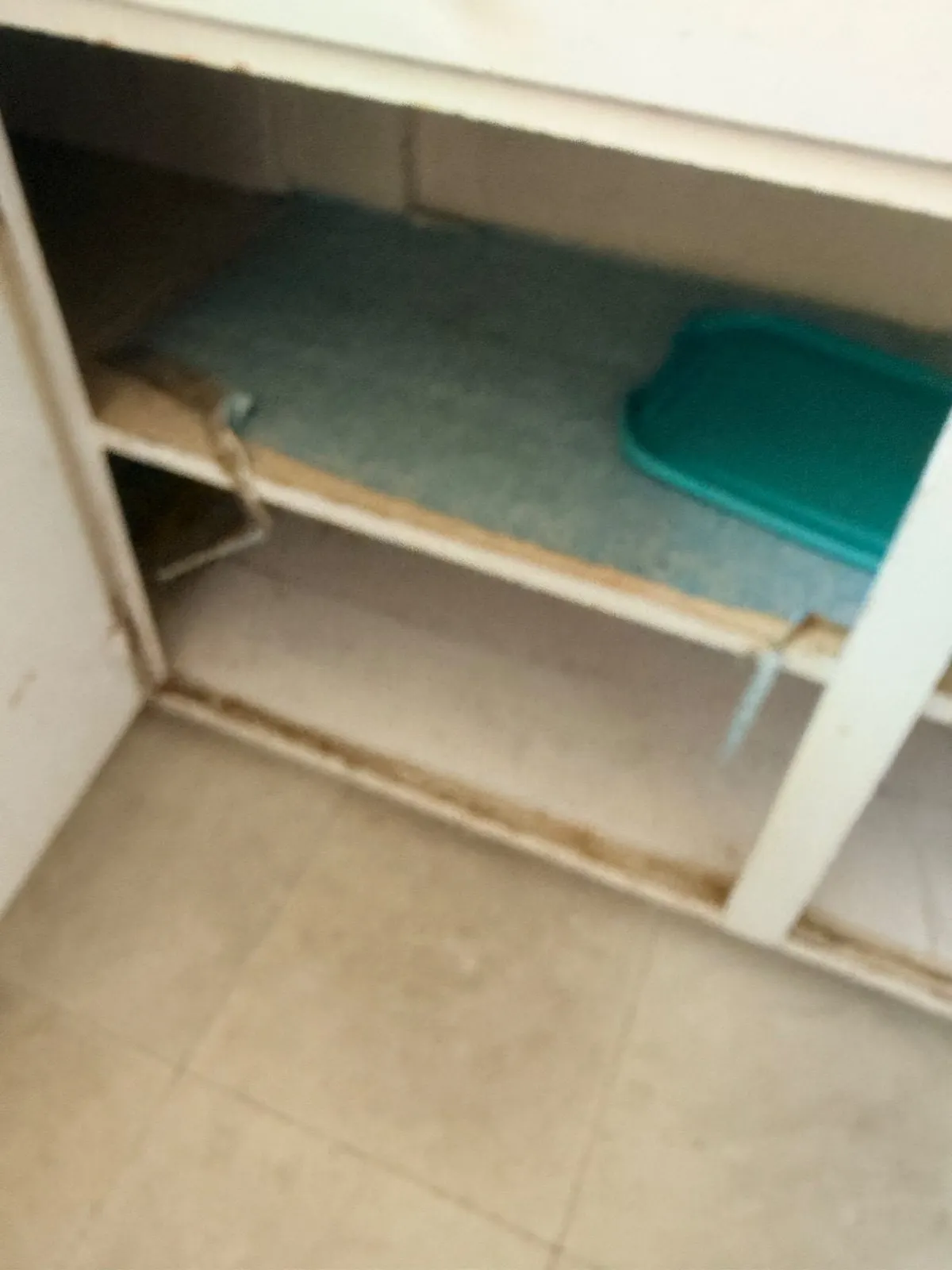 Before — House Cleaning in Davis, CA — August 2026