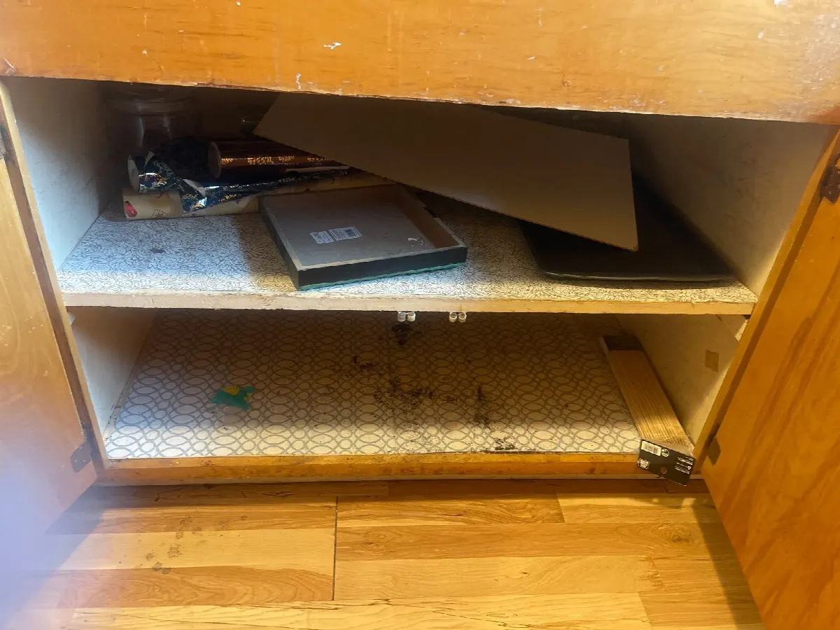 Before — House Cleaning in Davis, CA — August 2026