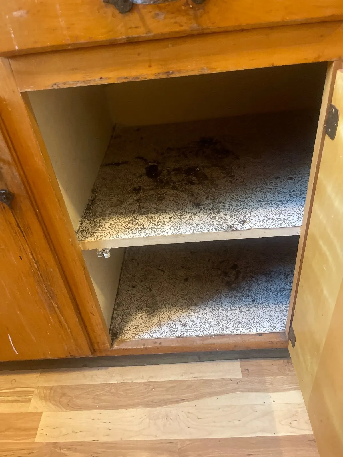 Before — House Cleaning in Davis, CA — August 2026