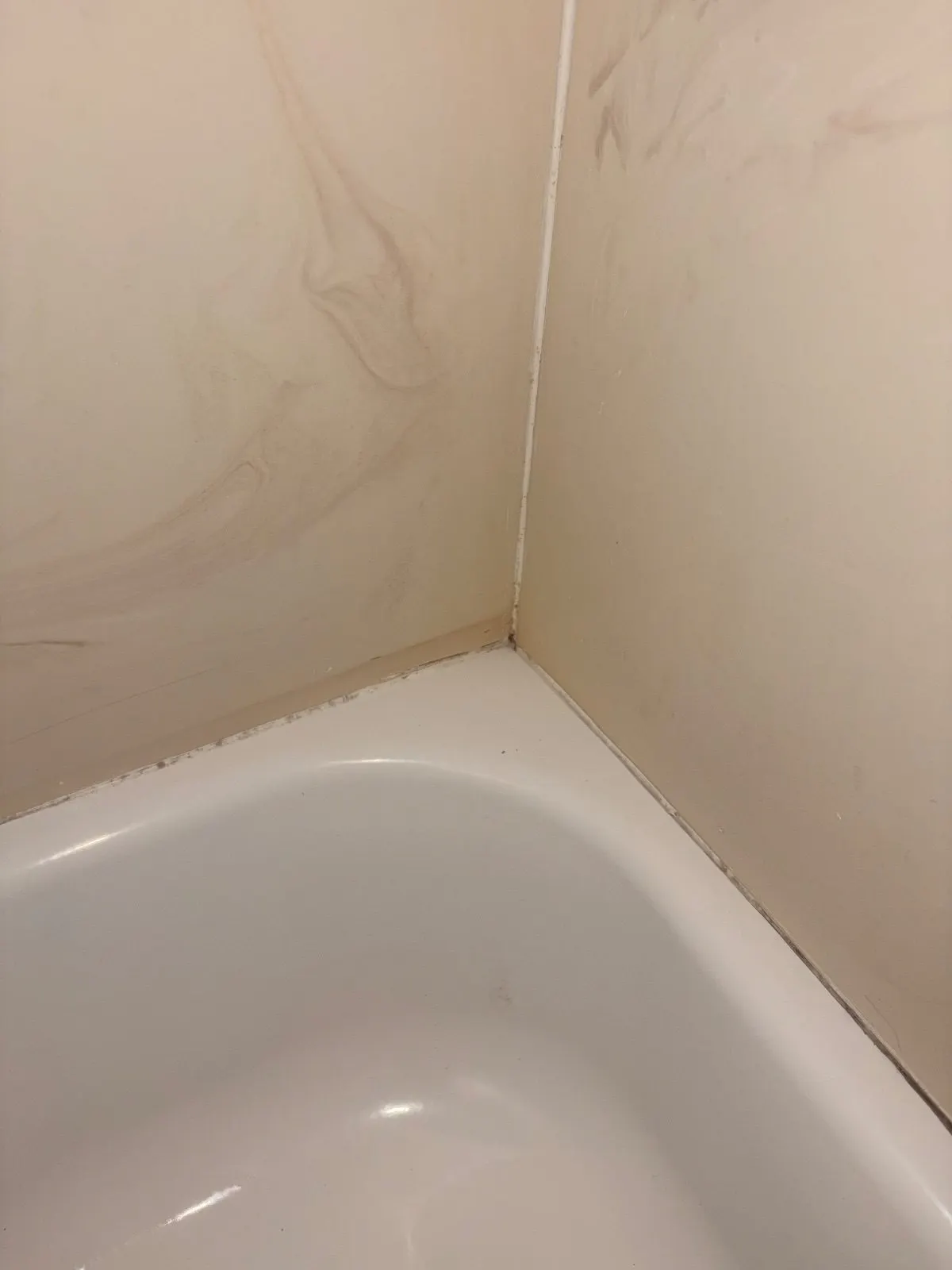 After — House Cleaning in Davis, CA — August 2026