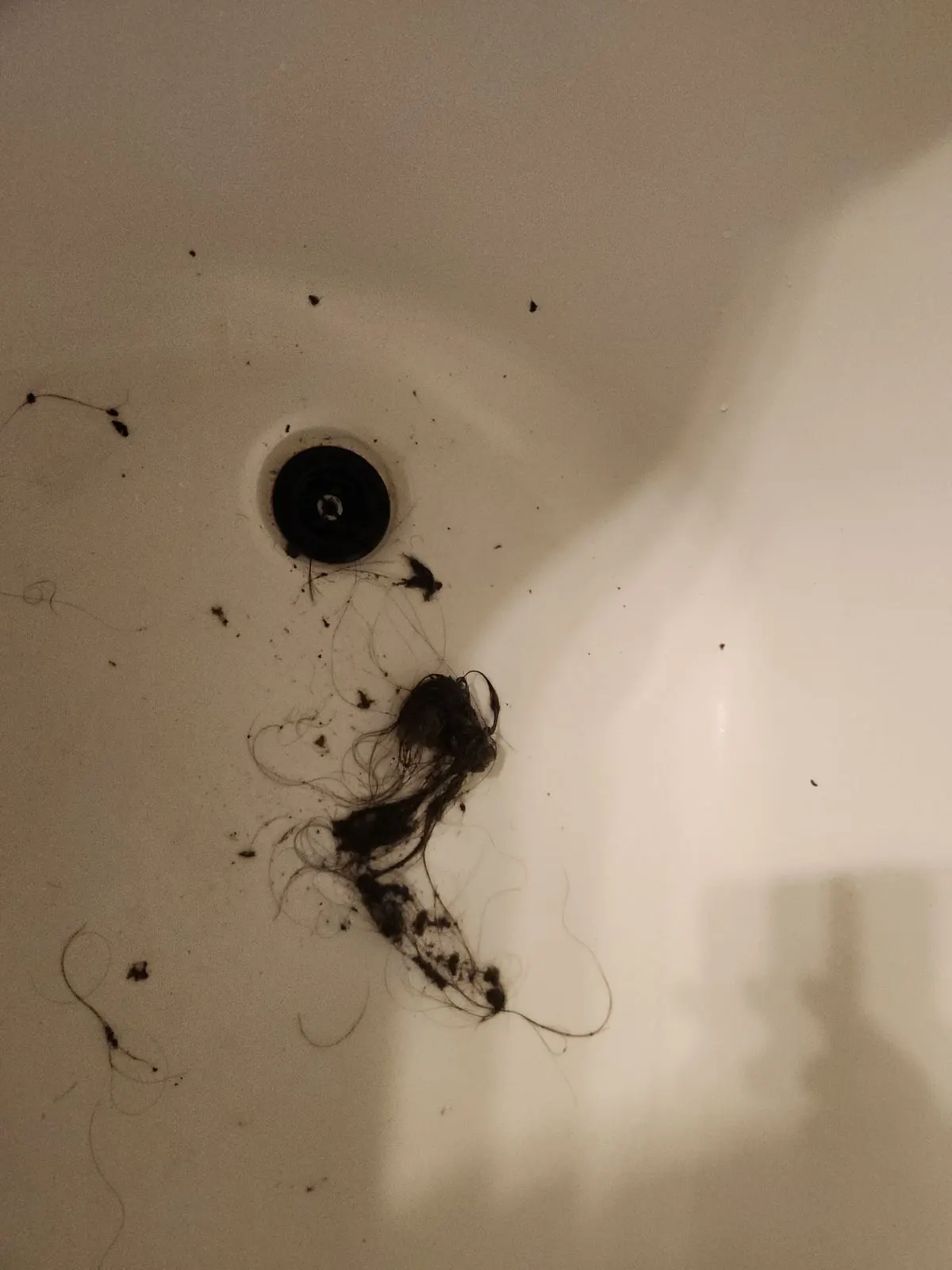 Before — House Cleaning in Davis, CA — August 2026
