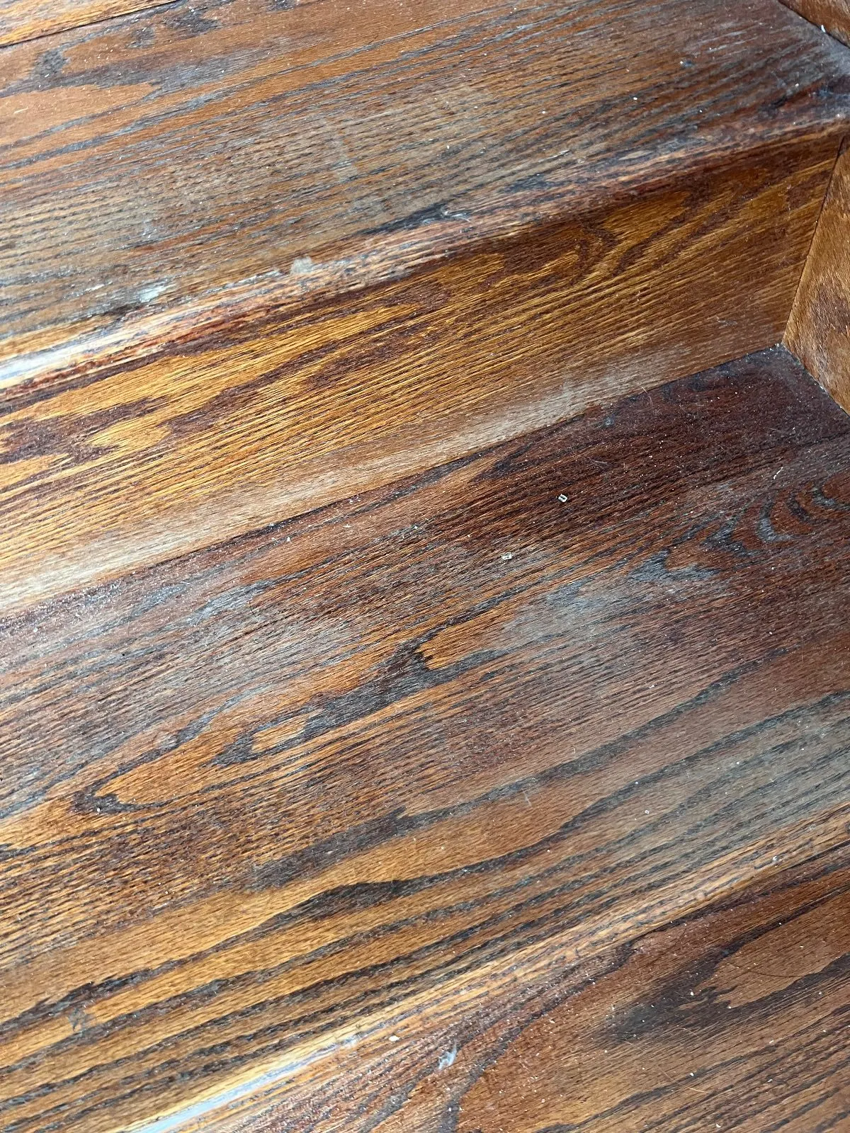 Before — House Cleaning in Davis, CA — August 2026