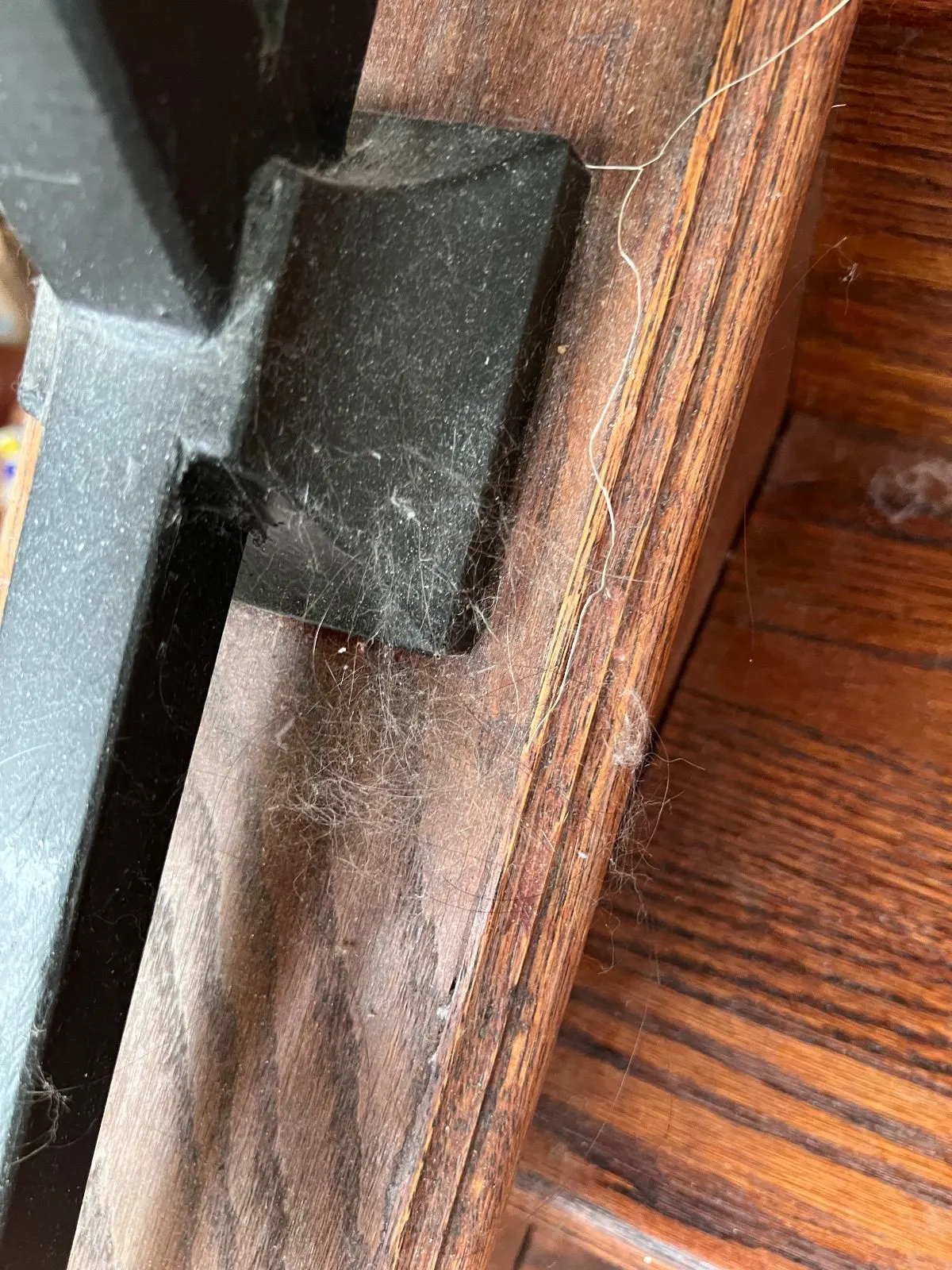 Before — House Cleaning in Davis, CA — August 2026