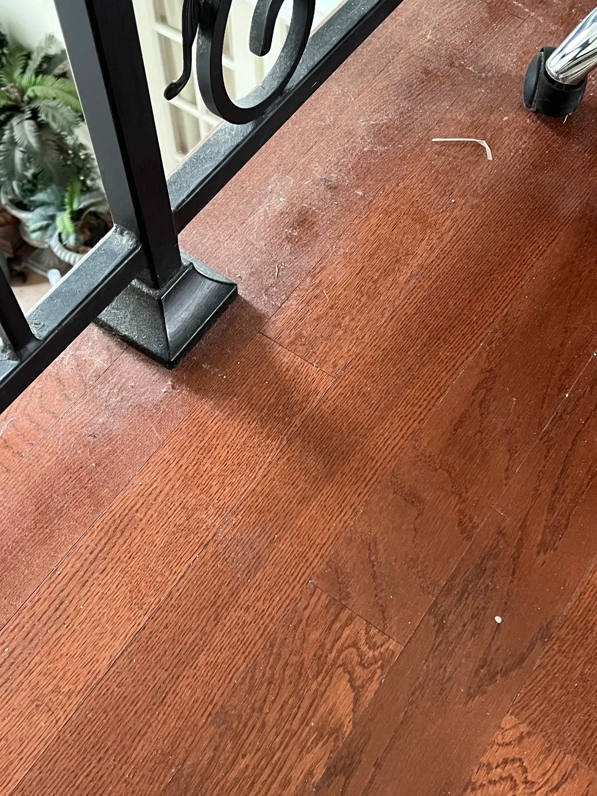 Before — House Cleaning in Davis, CA — August 2026