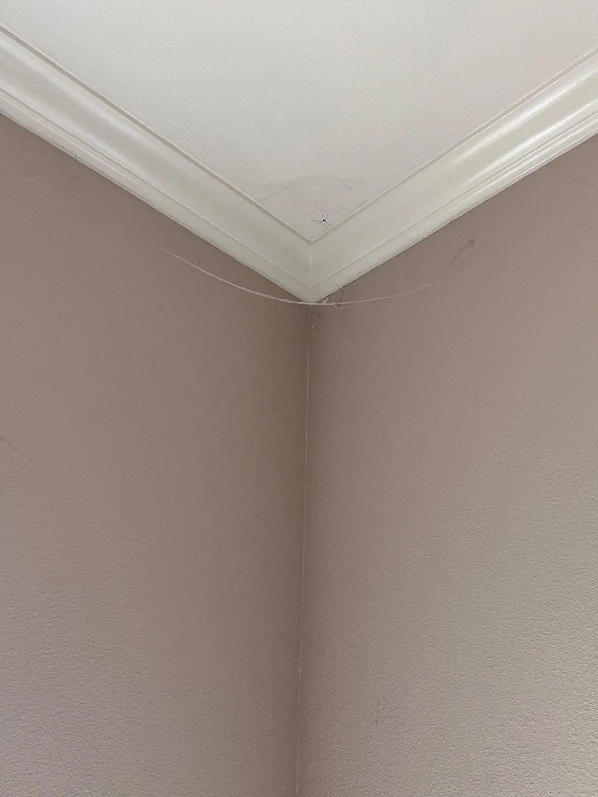 Before — House Cleaning in Davis, CA — August 2026