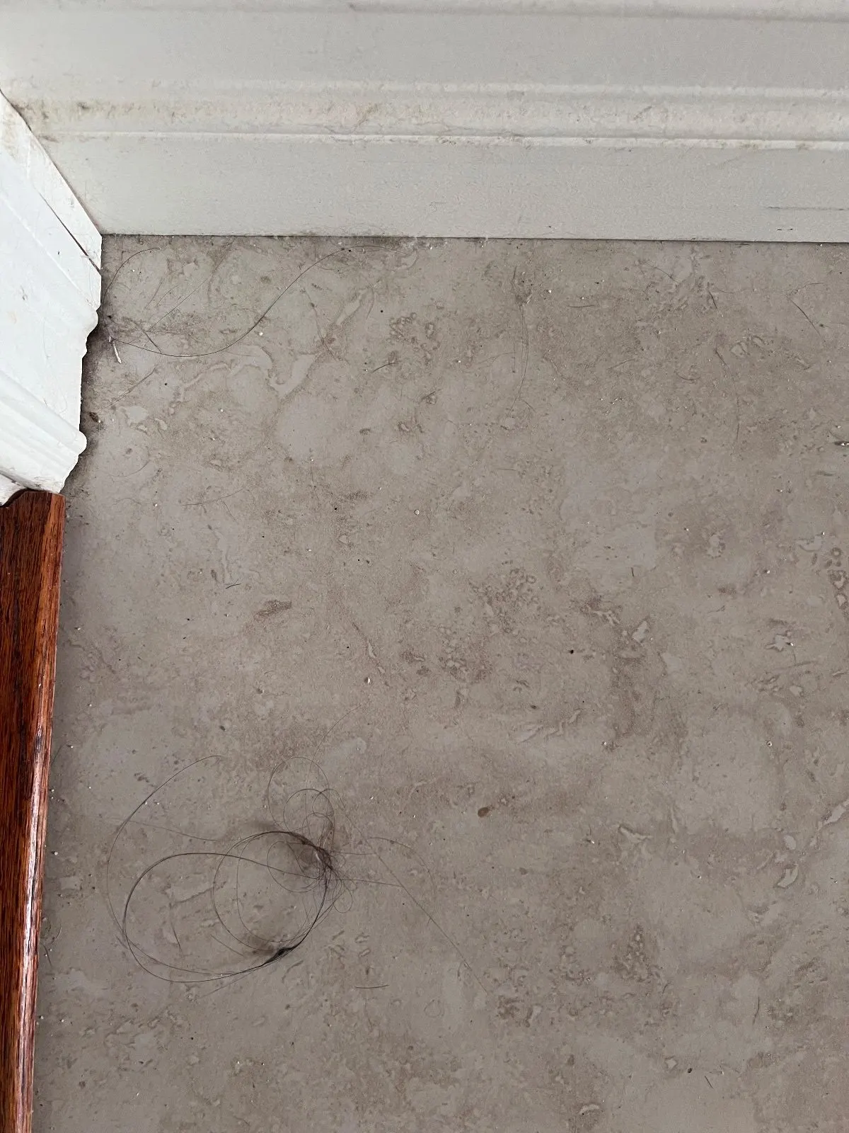 Before — House Cleaning in Davis, CA — August 2026
