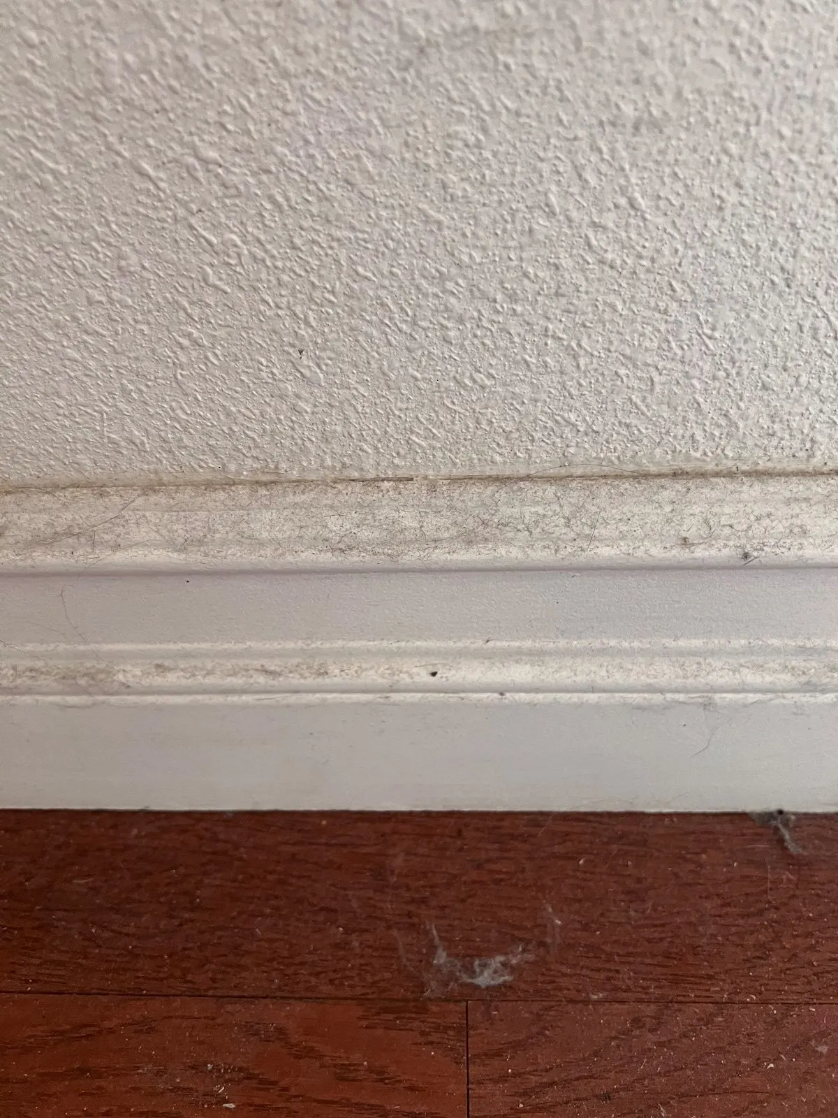 Before — House Cleaning in Davis, CA — August 2026