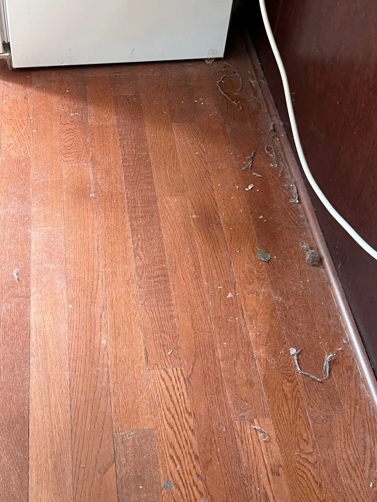 Before — House Cleaning in Davis, CA — August 2026