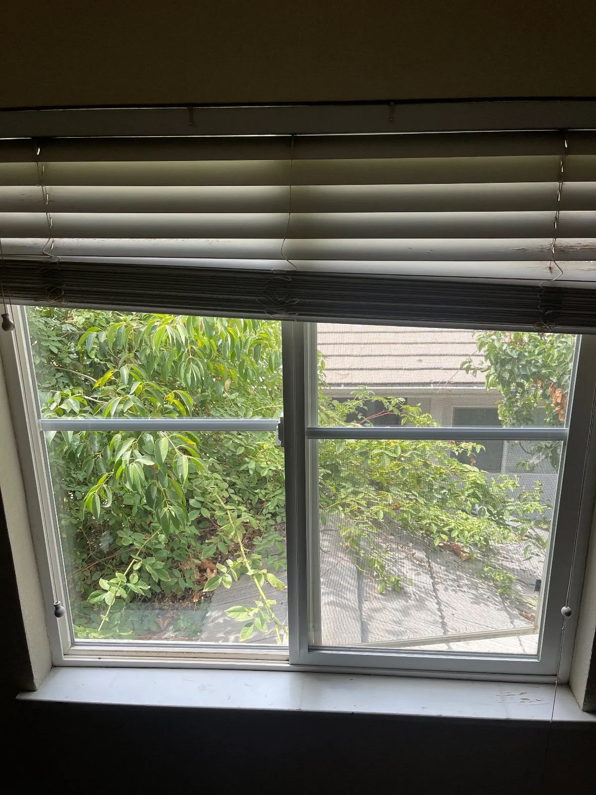 Before — House Cleaning in Davis, CA — September 2026