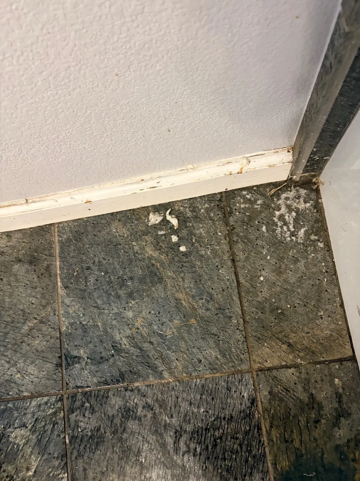 Before — House Cleaning in Sacramento, CA — September 2026