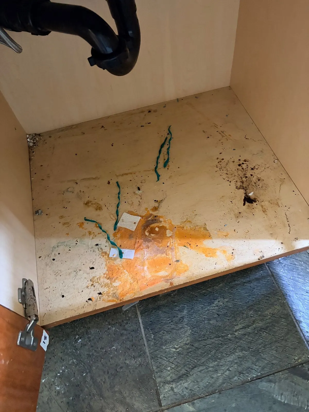 Before — House Cleaning in Sacramento, CA — September 2026