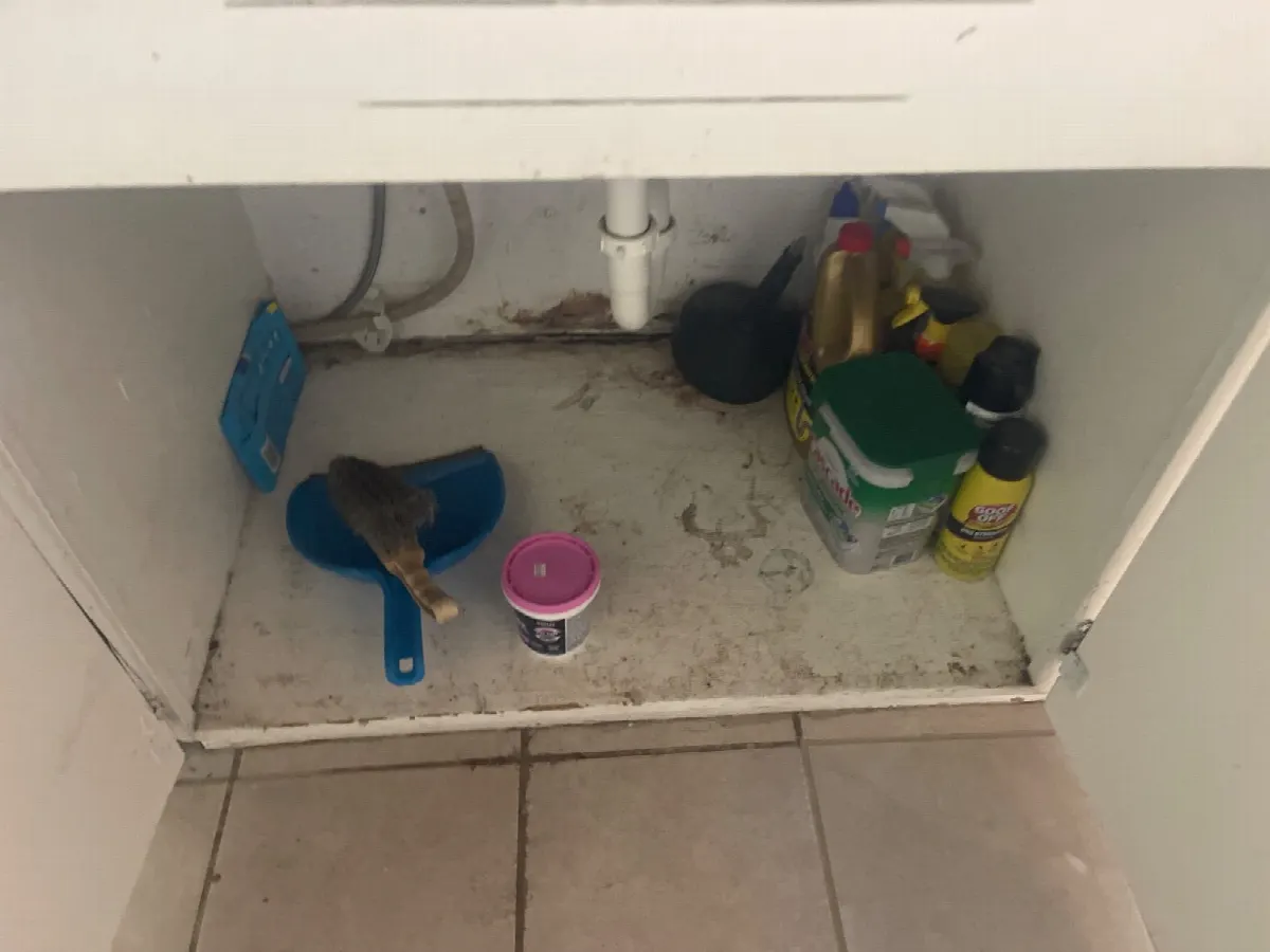 Before — House Cleaning in Davis, CA — September 2026