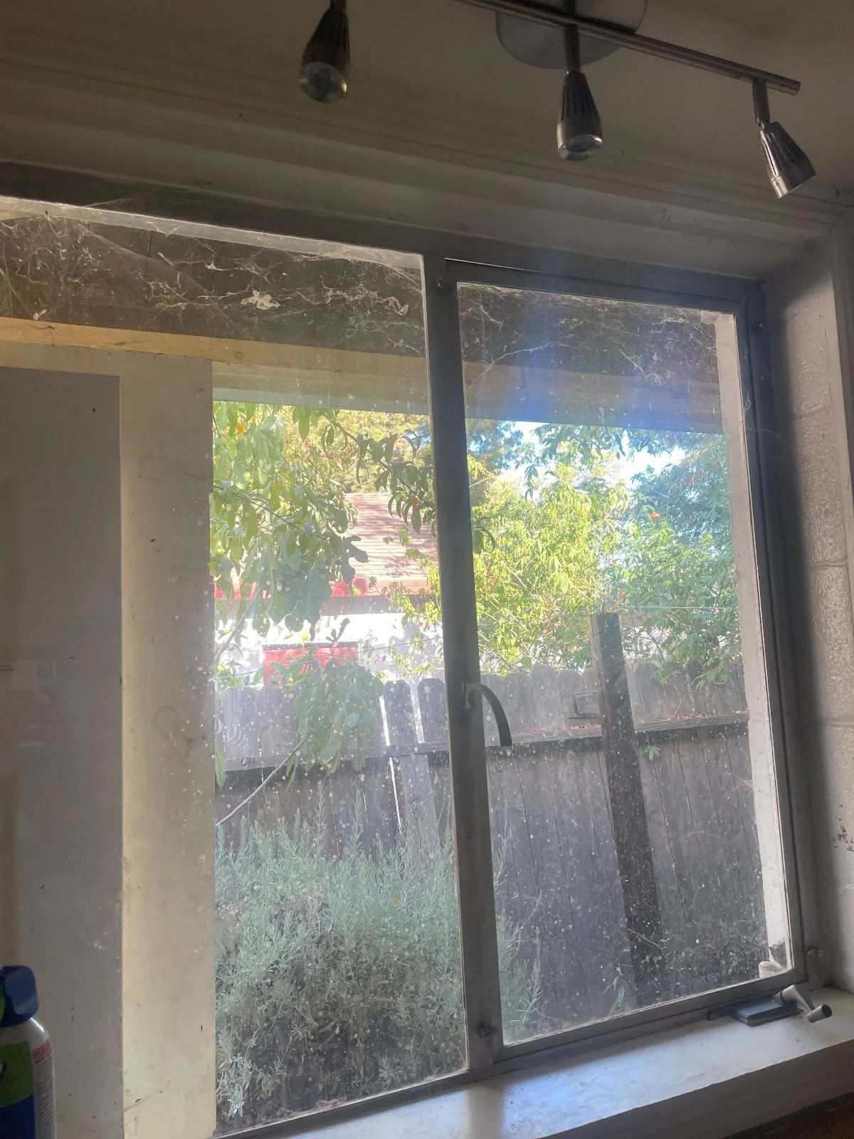 Before — House Cleaning in Davis, CA — September 2026
