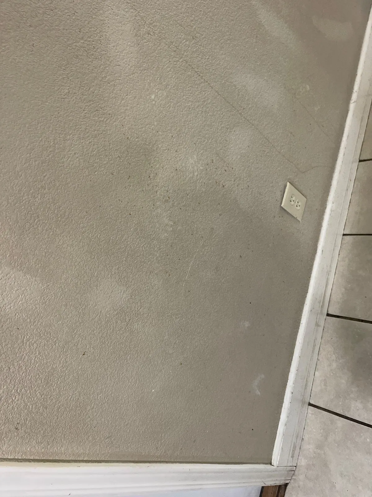 Before — House Cleaning in Sacramento, CA — September 2026