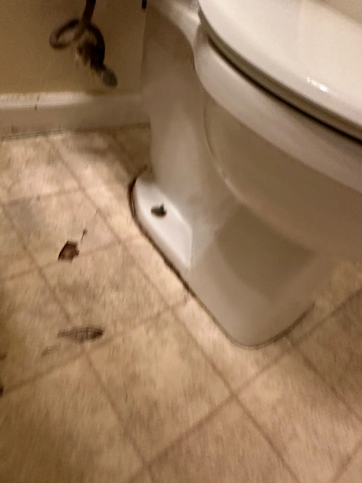 Before — House Cleaning in Davis, CA — September 2026