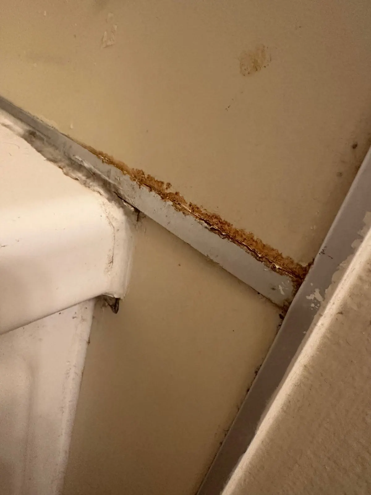 Before — House Cleaning in Davis, CA — September 2026