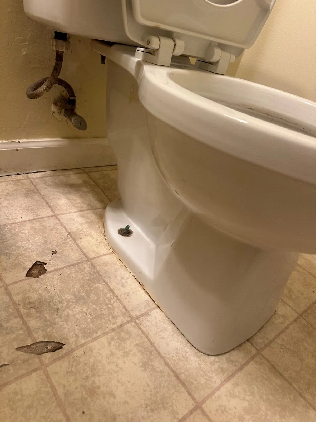 After — House Cleaning in Davis, CA — September 2026