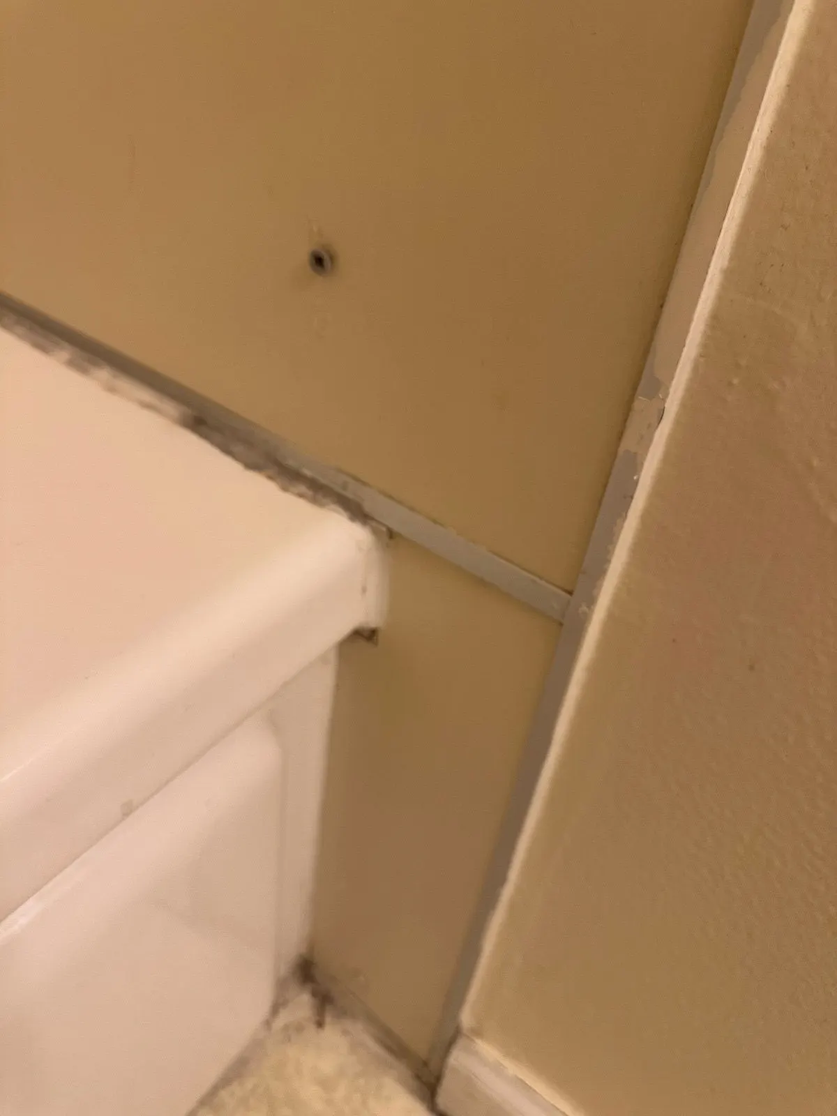 After — House Cleaning in Davis, CA — September 2026