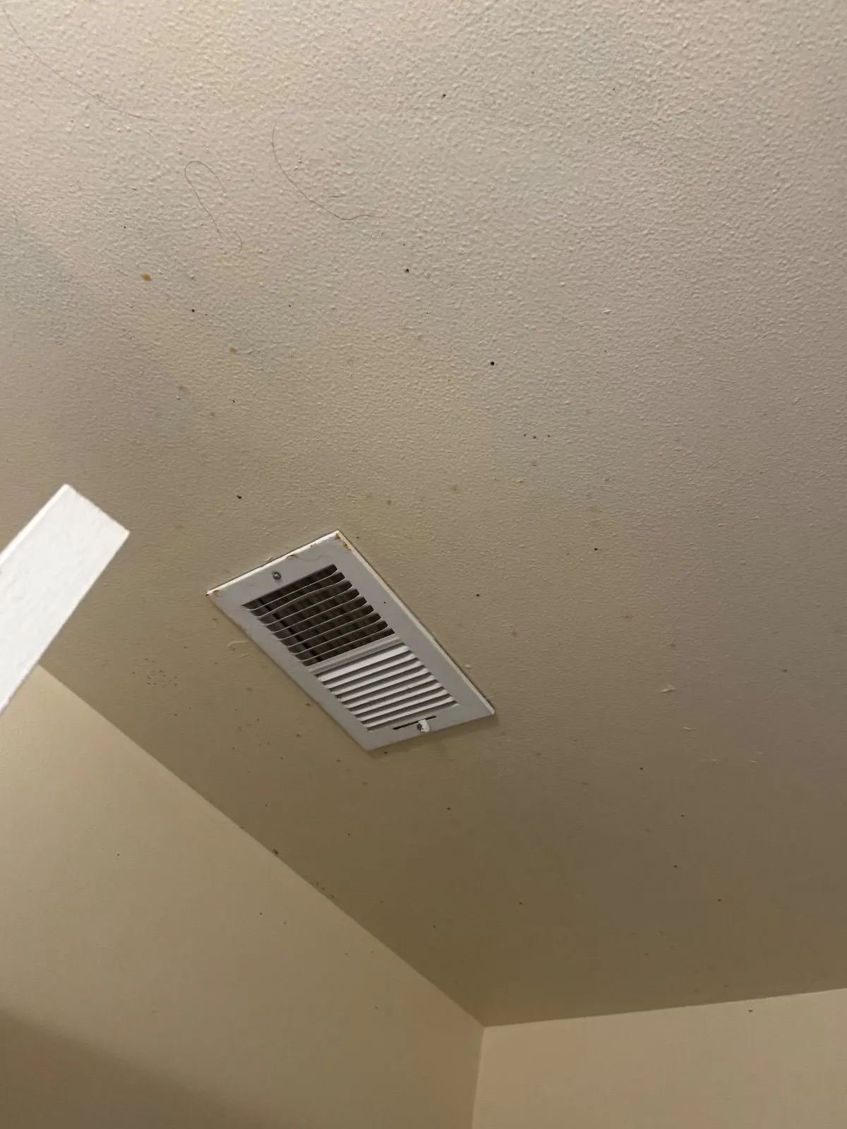 After — House Cleaning in Davis, CA — September 2026