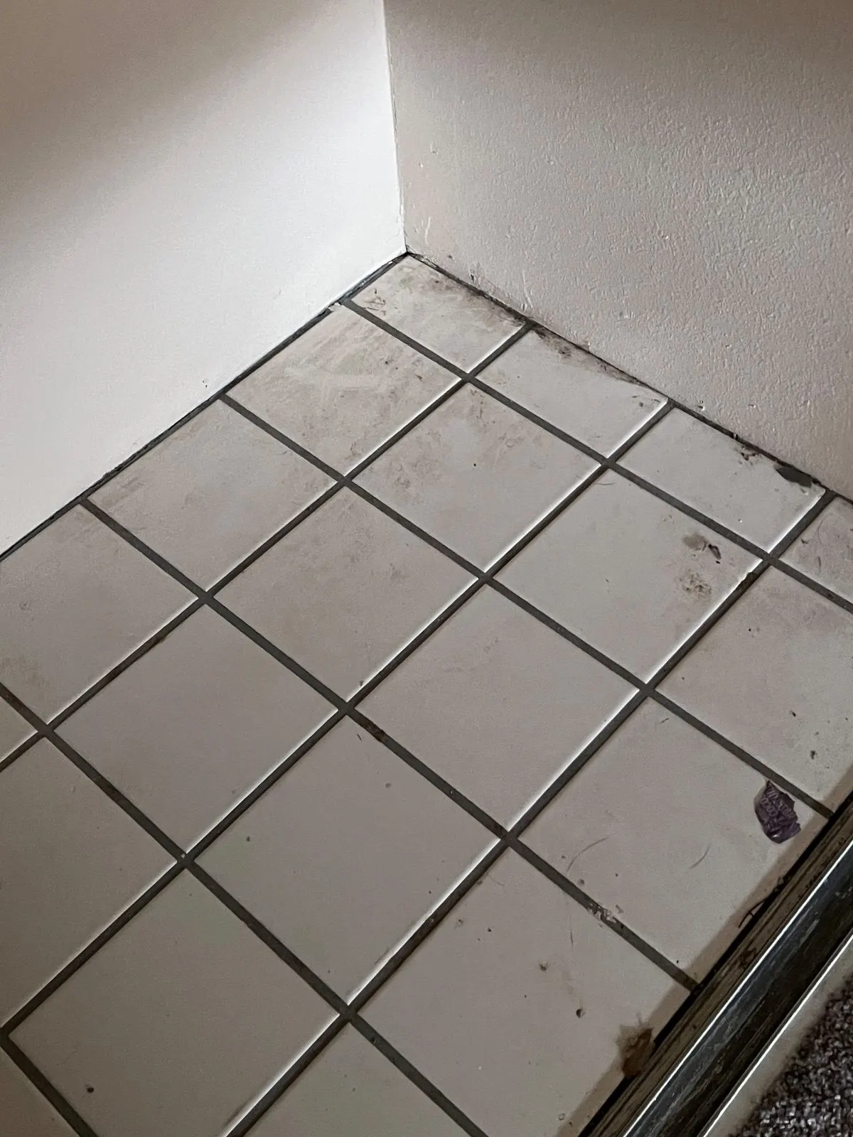 Before — House Cleaning in Davis, CA — September 2026