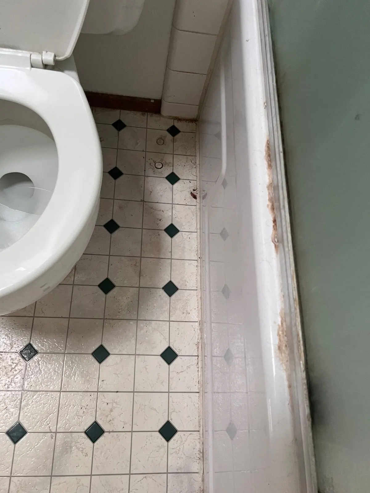 Before — House Cleaning in Davis, CA — September 2026