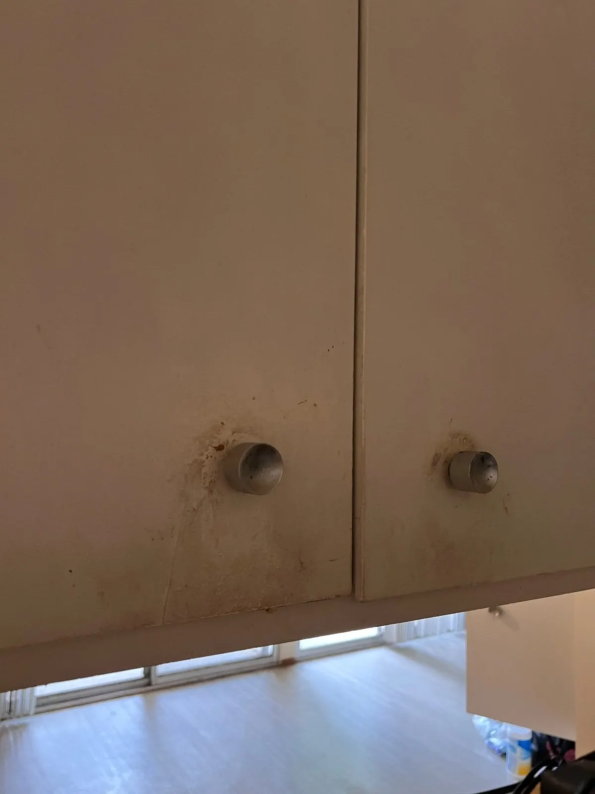 Before — House Cleaning in Davis, CA — September 2026