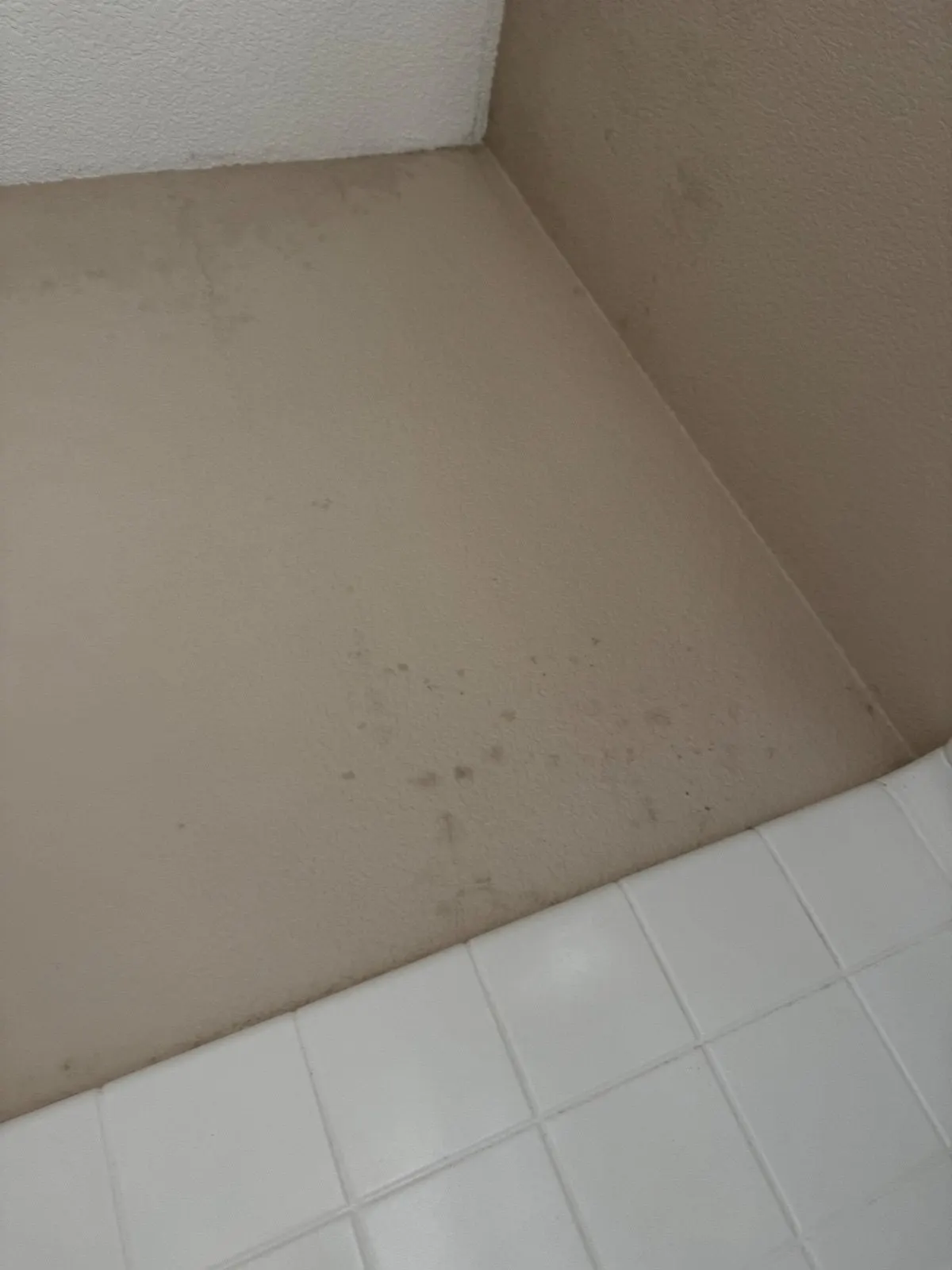 Before — House Cleaning in Lincoln, CA — September 2026