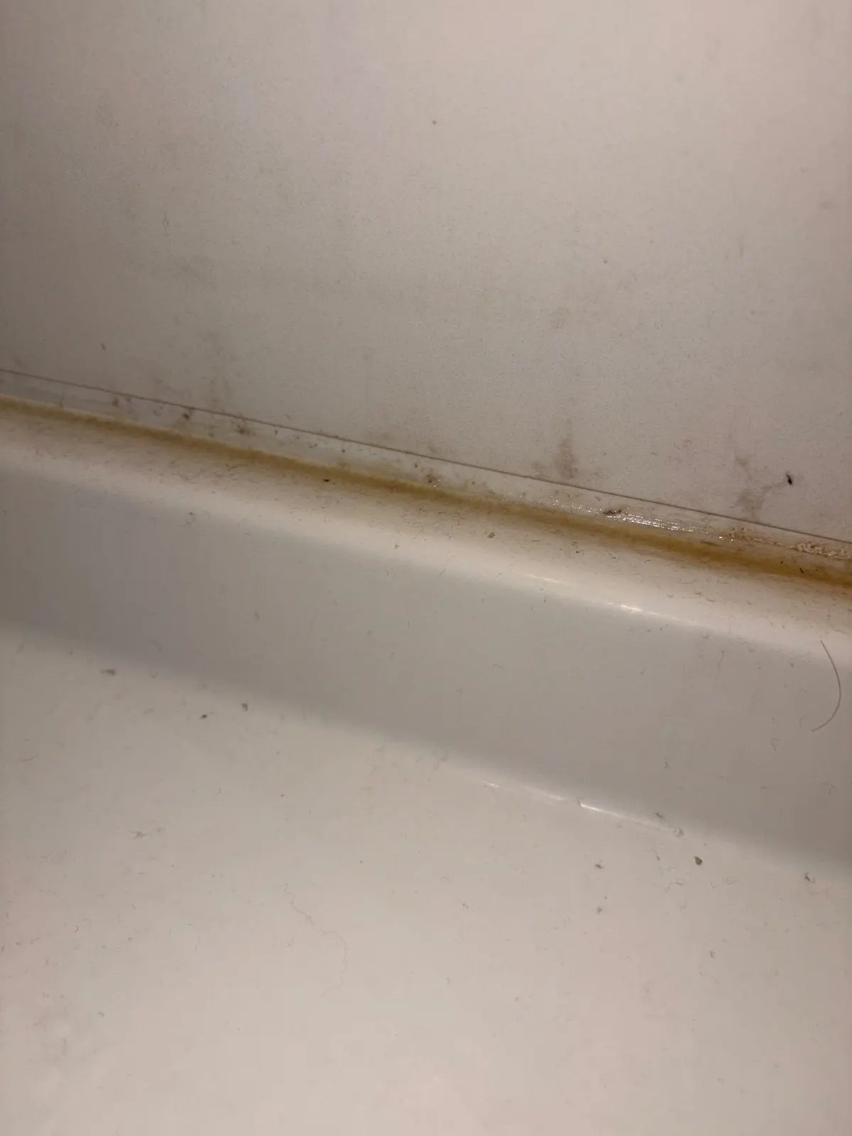 Before — House Cleaning in Woodland, CA — September 2026