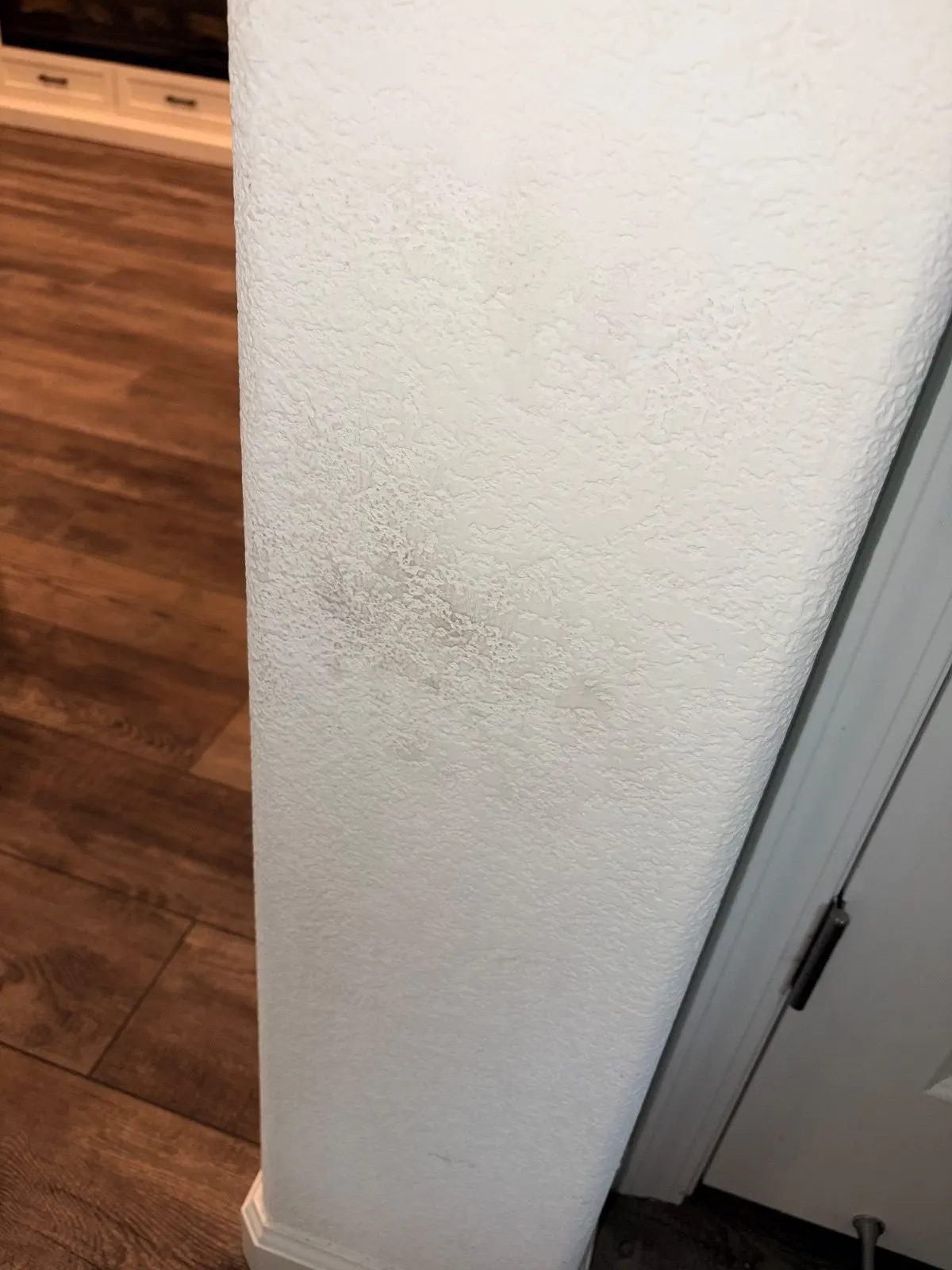 After — House Cleaning in Woodland, CA — September 2026