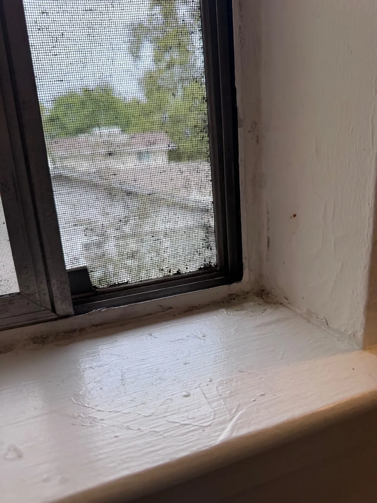 Before — House Cleaning in Davis, CA — September 2026