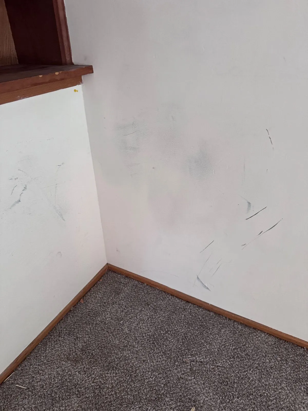 Before — House Cleaning in Davis, CA — September 2026