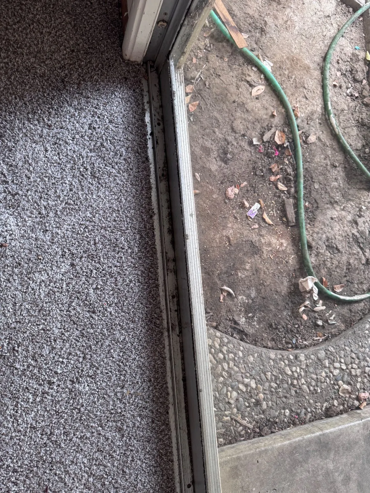 Before — House Cleaning in Davis, CA — September 2026