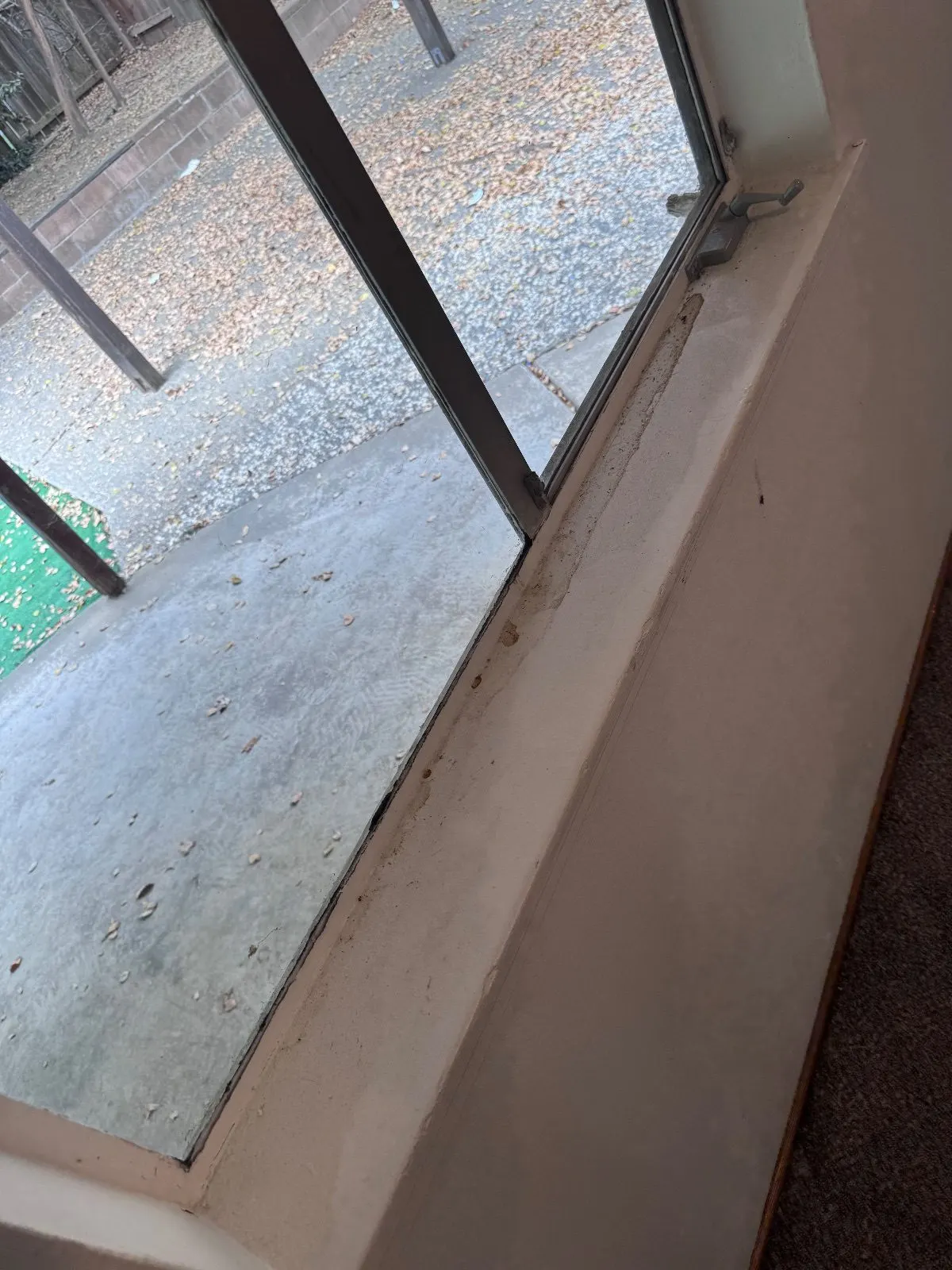 Before — House Cleaning in Davis, CA — September 2026