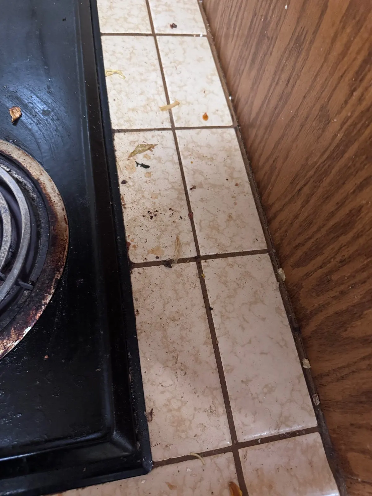 Before — House Cleaning in Davis, CA — September 2026