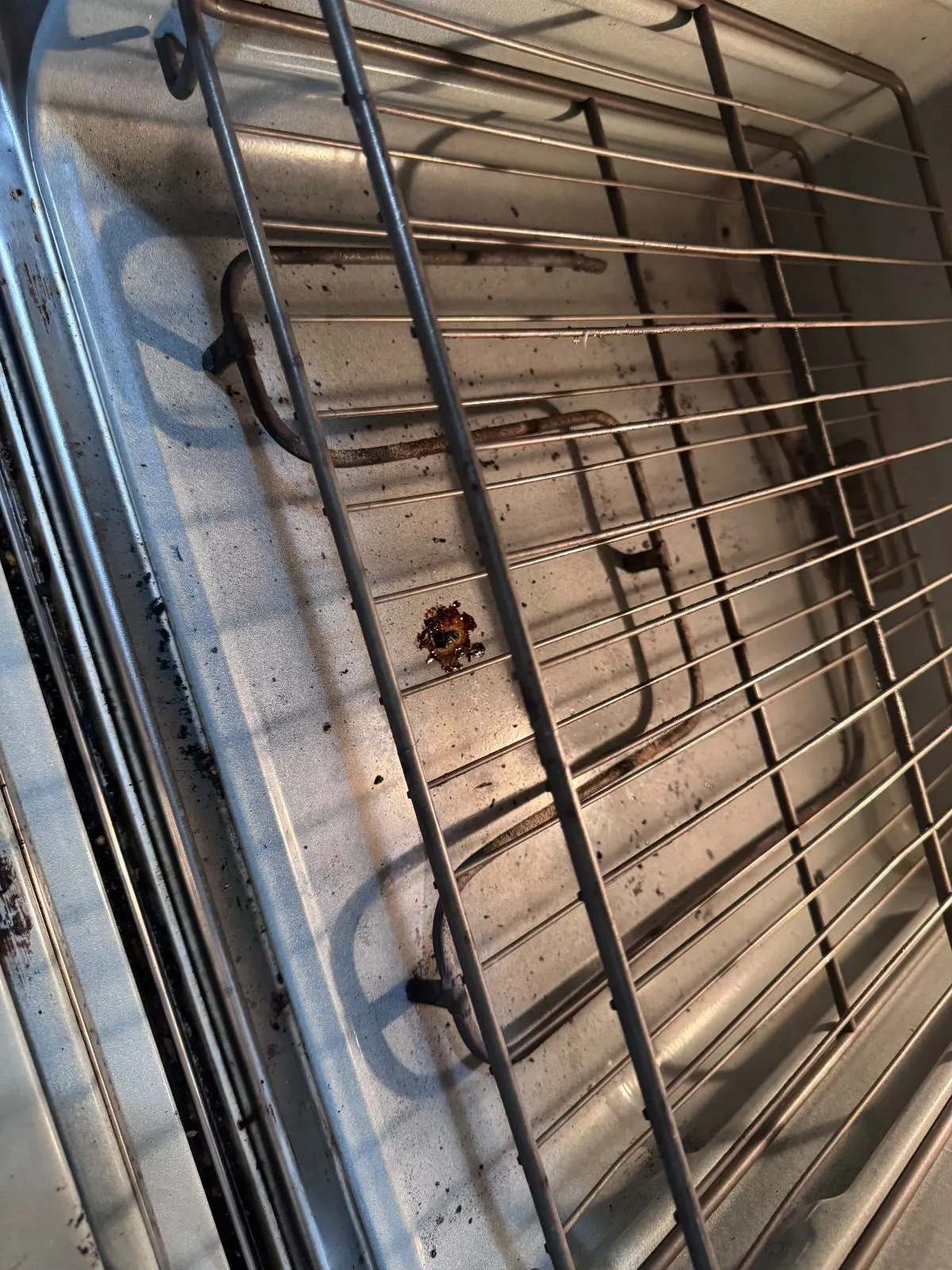 Before — House Cleaning in Davis, CA — September 2026