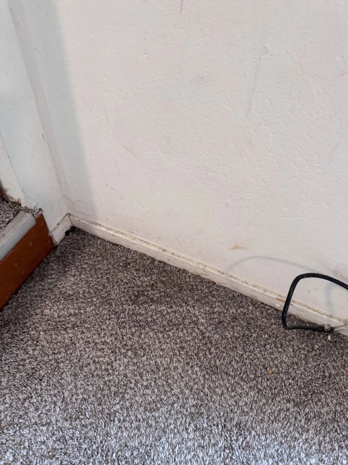 Before — House Cleaning in Davis, CA — September 2026