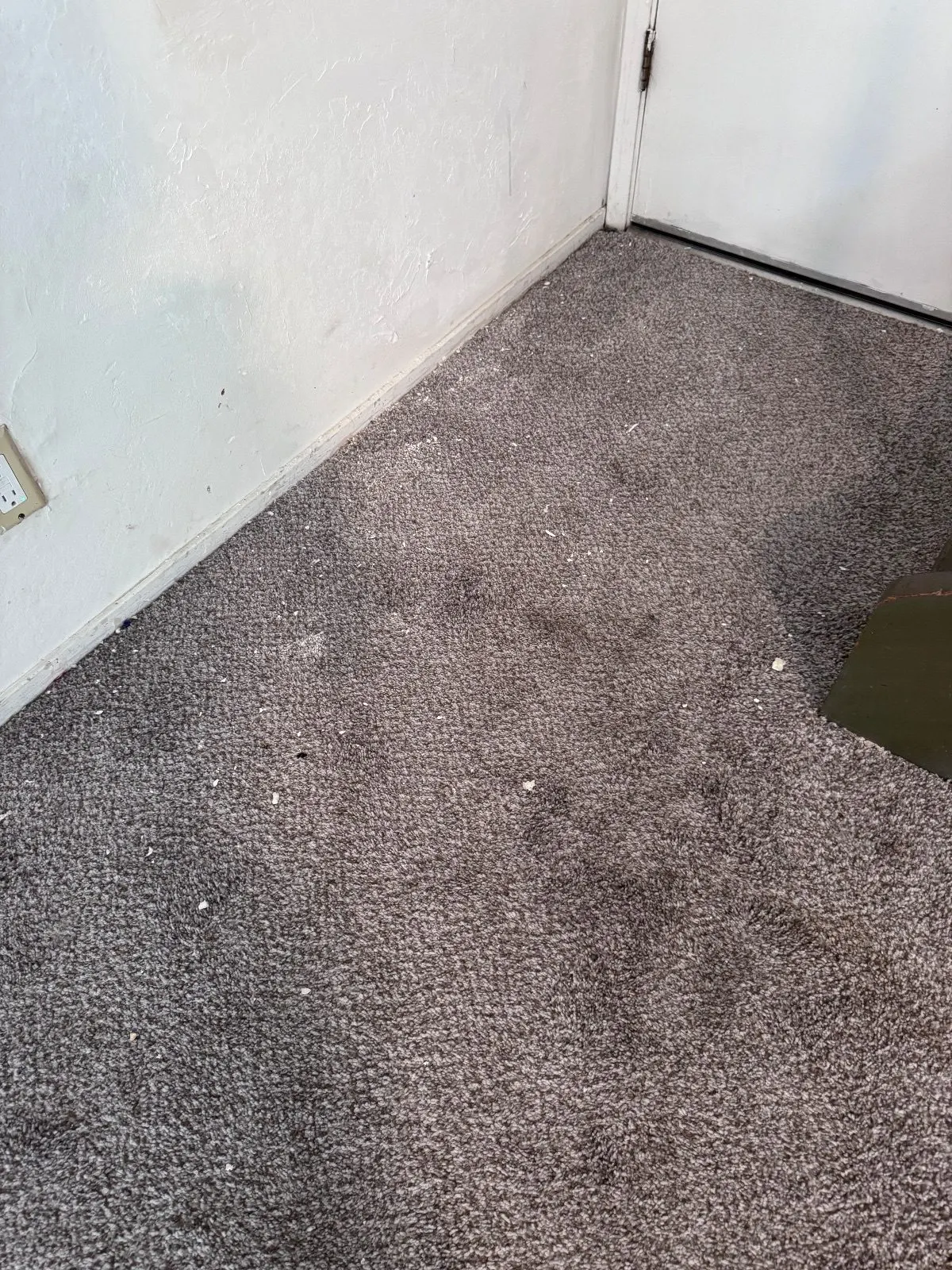 Before — House Cleaning in Davis, CA — September 2026