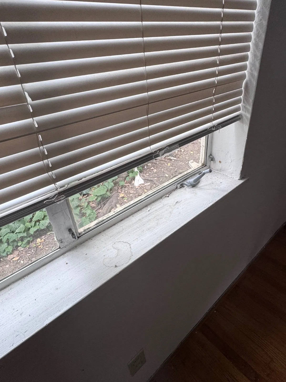 Before — House Cleaning in Davis, CA — September 2026
