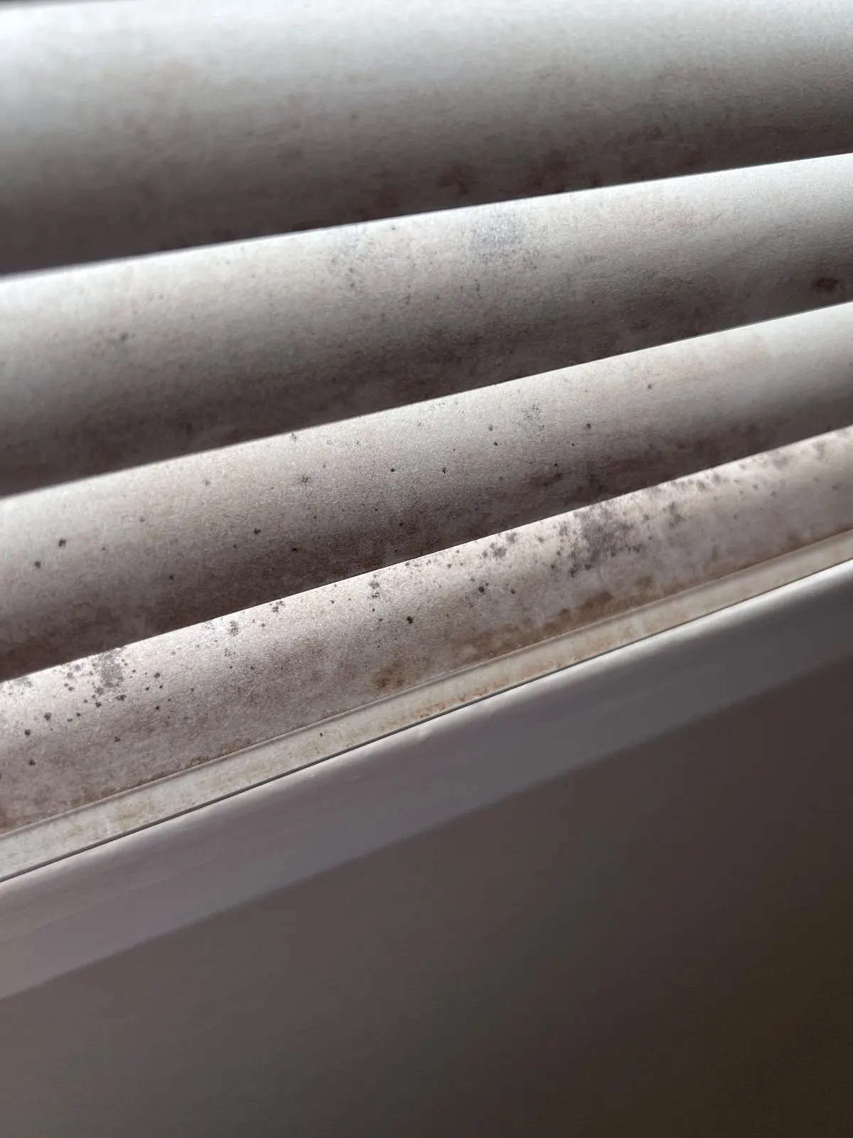 Before — House Cleaning in Davis, CA — September 2026