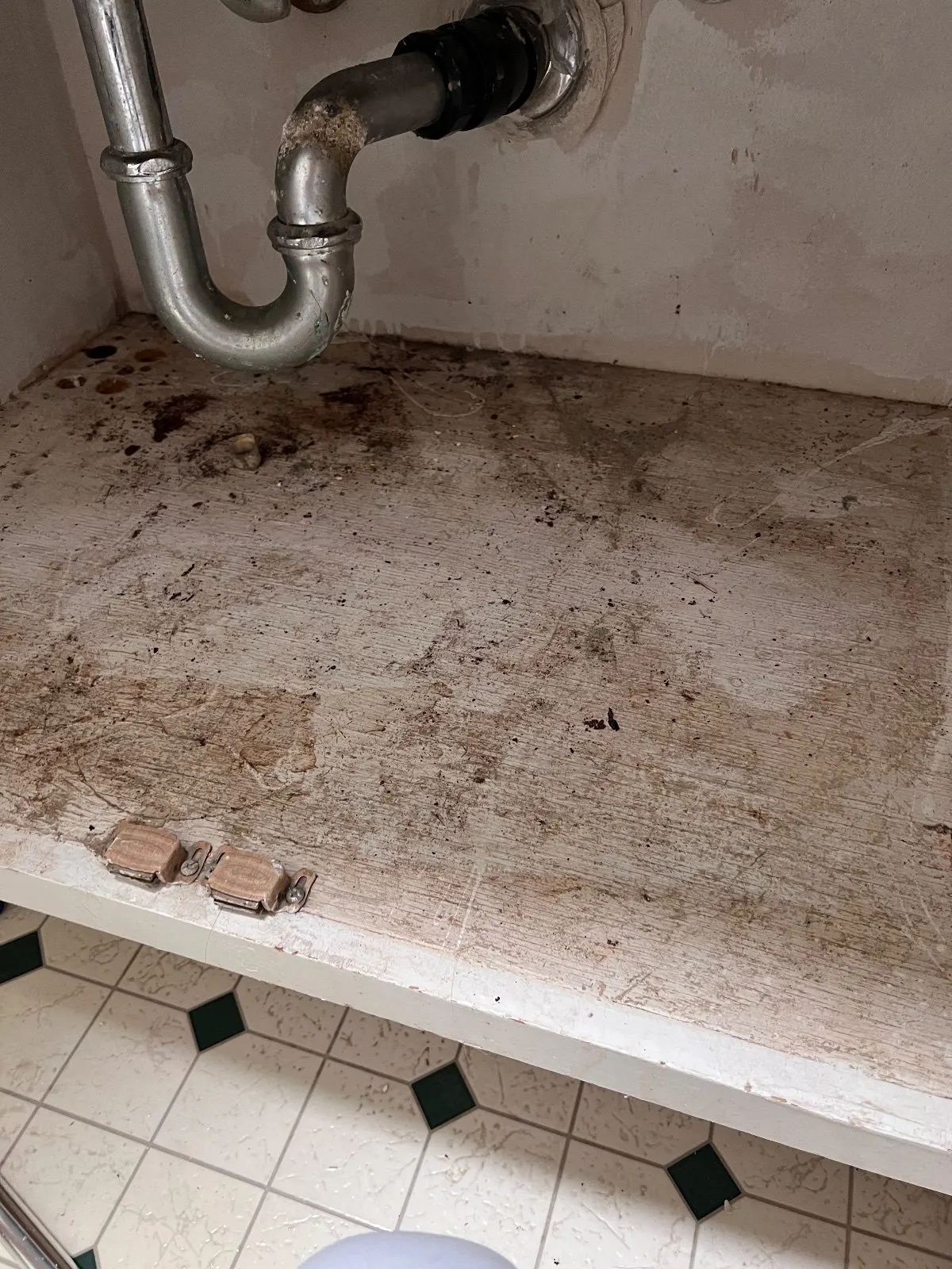 Before — House Cleaning in Davis, CA — September 2026
