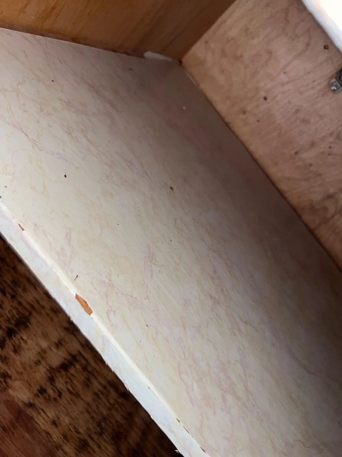 After — House Cleaning in Davis, CA — September 2026
